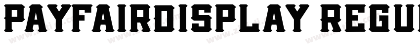 PayfairDisplay Regul字体转换